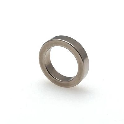 カスタム N40 Uni Pole Radial Oriented Ring Tube ネオジム磁石 ±0.05mm トレレランス